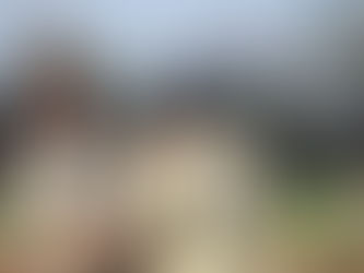 Tigers kick off Farrell Classic