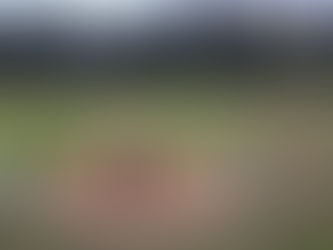 Farrell Classic Begins